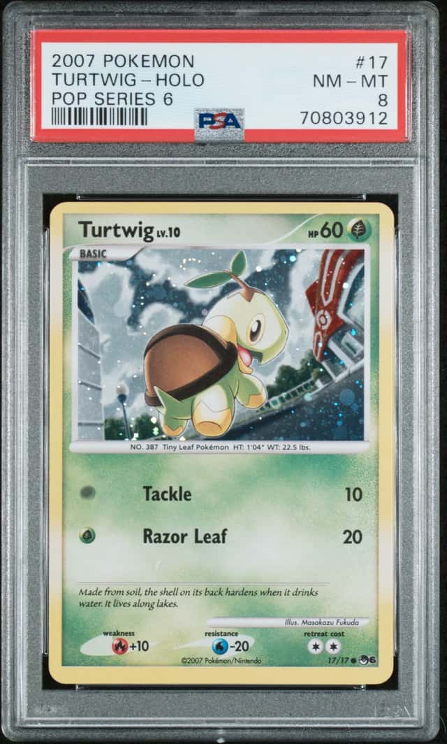 Turtwig