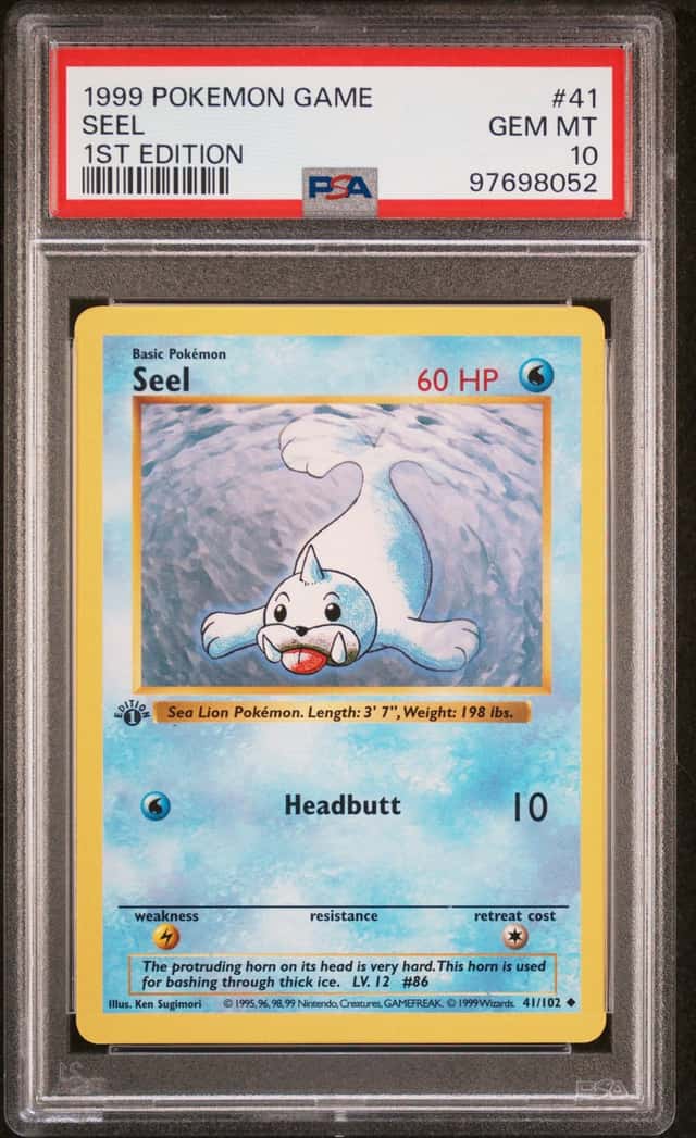 Seel