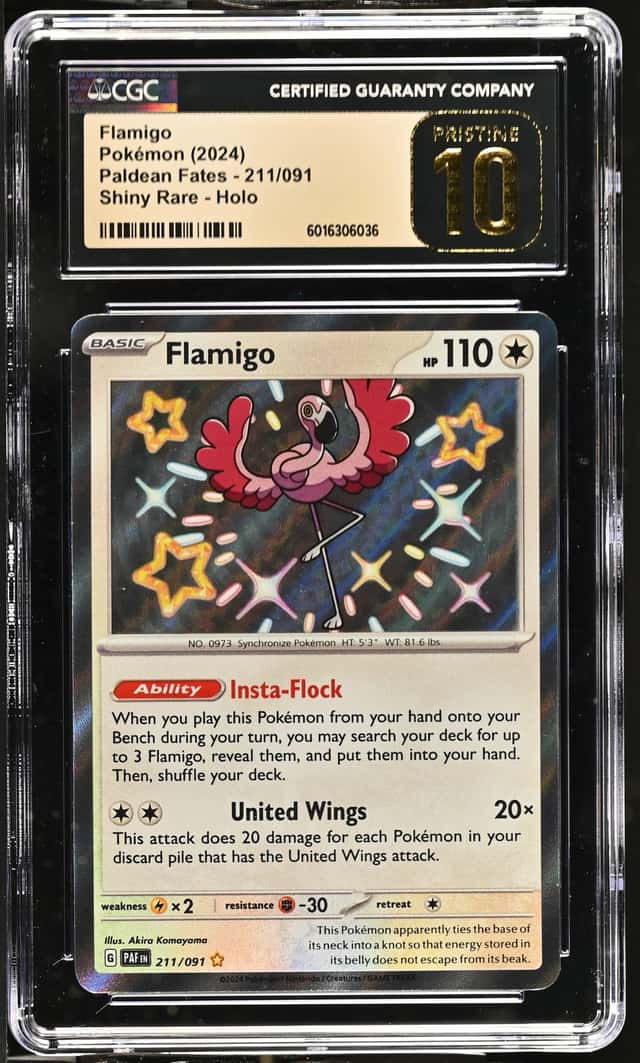 Flamigo