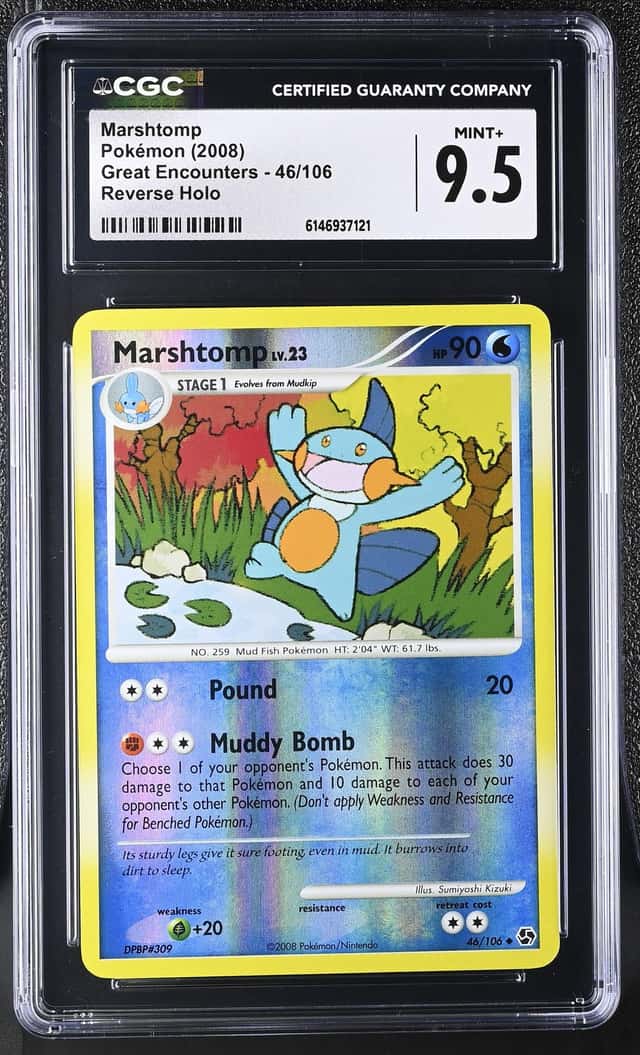 Marshtomp