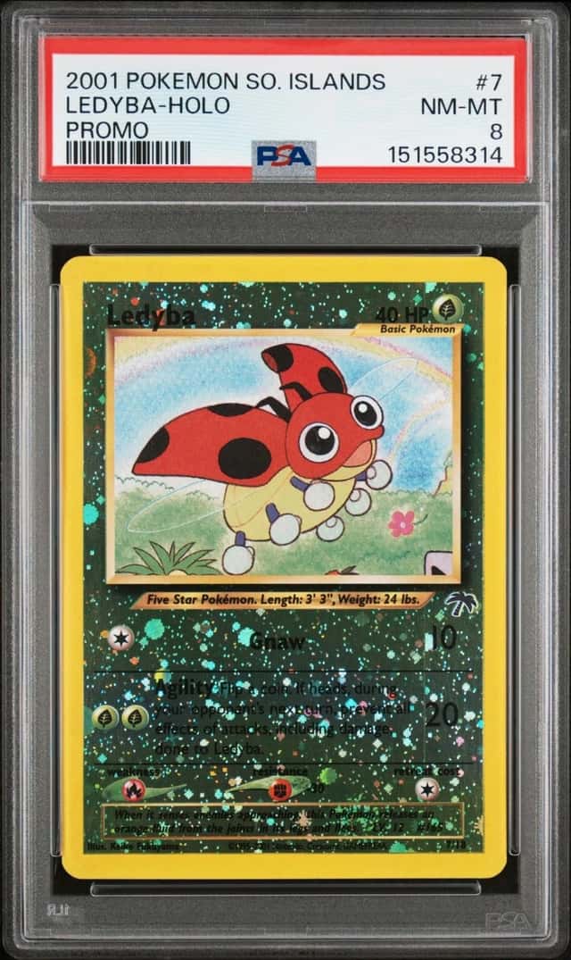 Ledyba