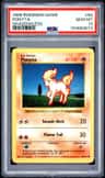 Ponyta