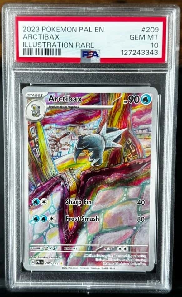 Arctibax