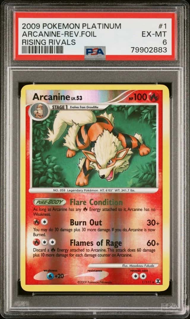 Arcanine