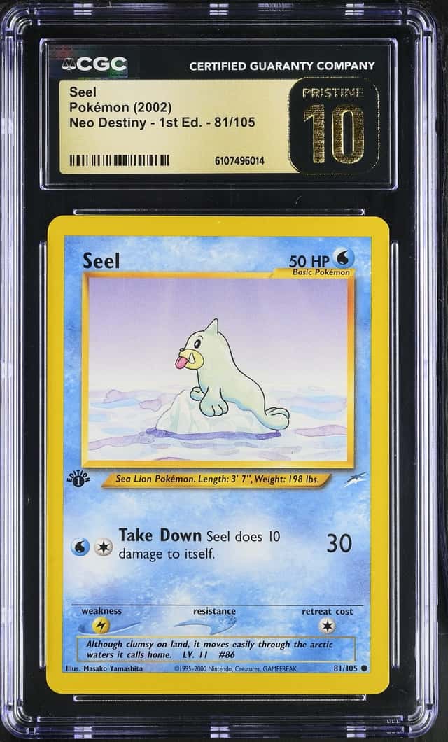 Seel