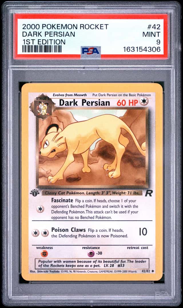 Dark Persian