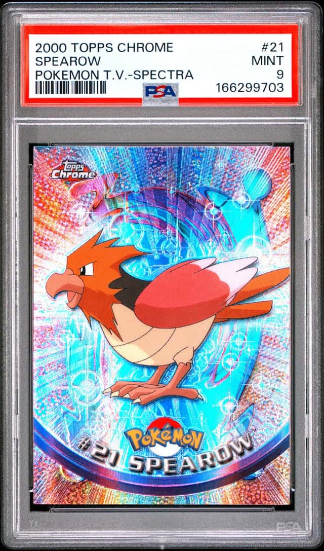 Spearow