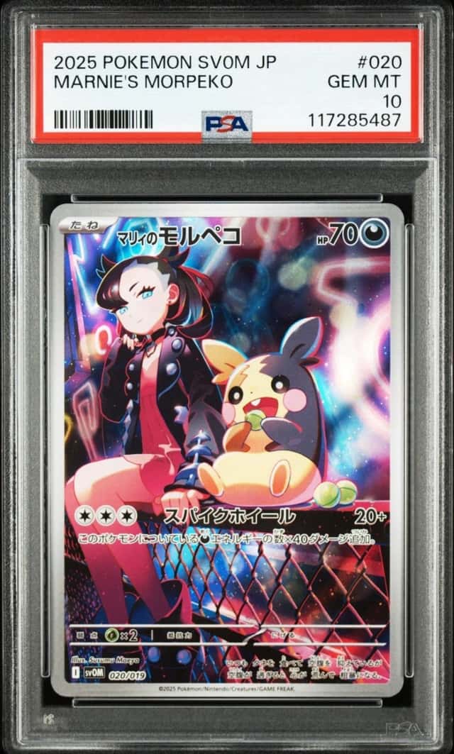 Marnie's Morpeko