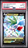 Shaymin V