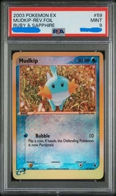 Mudkip