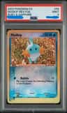 Mudkip