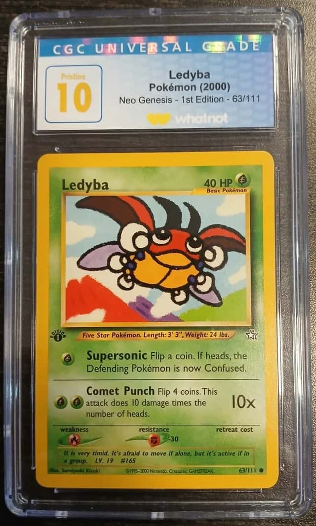 Ledyba