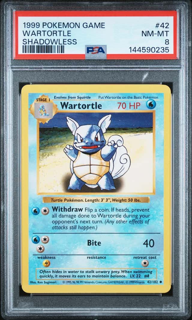 Wartortle