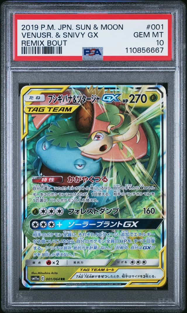 Venusaur & Snivy GX