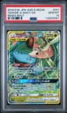 Venusaur & Snivy Gx