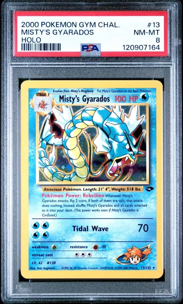 Misty's Gyarados