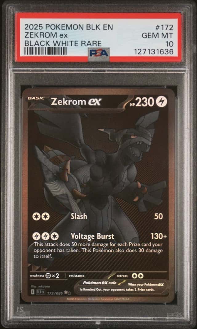 ZEKROM ex