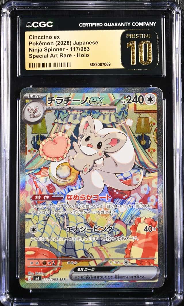 CINCCINO ex