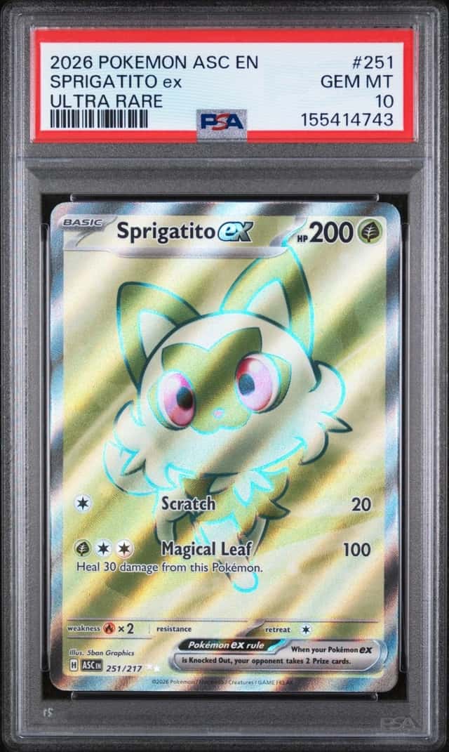 SPRIGATITO ex