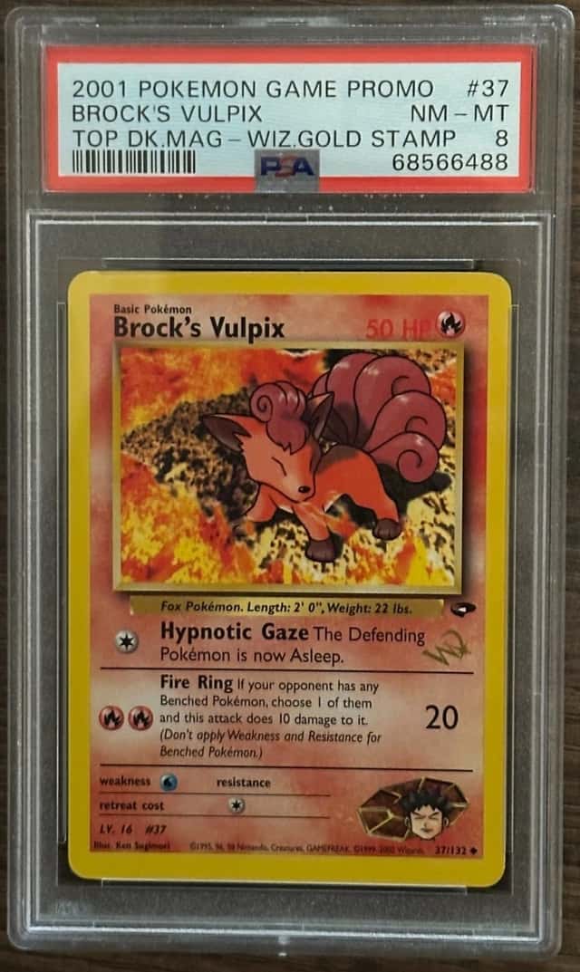 Brock's Vulpix