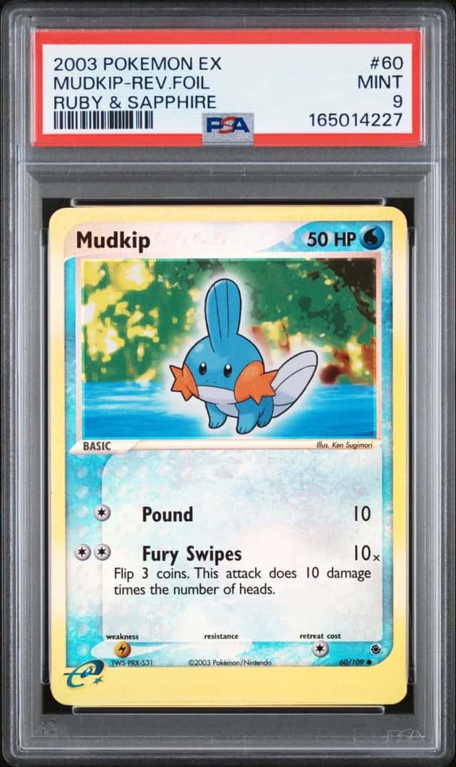 Mudkip