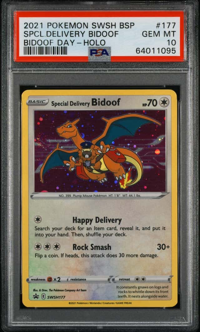 Special Delivery Bidoof