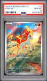 Ponyta