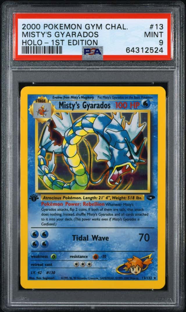 Misty's Gyarados