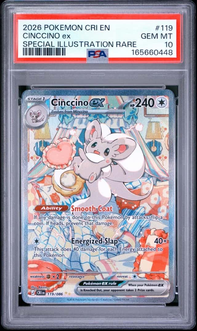 CINCCINO ex