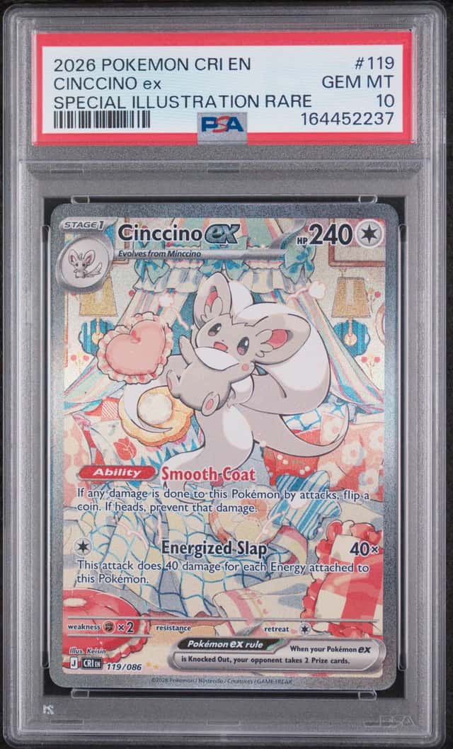 CINCCINO ex