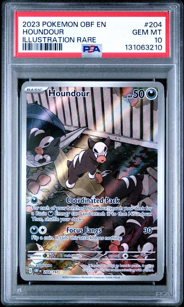 Houndour