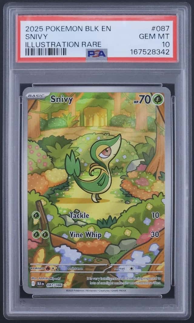 Snivy