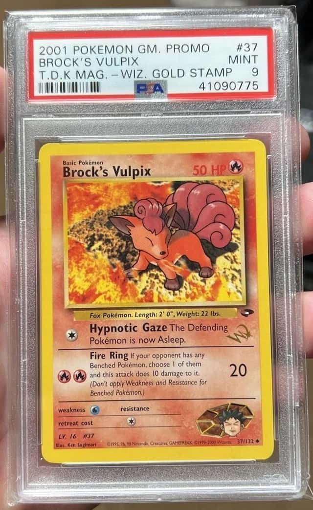 Brock's Vulpix