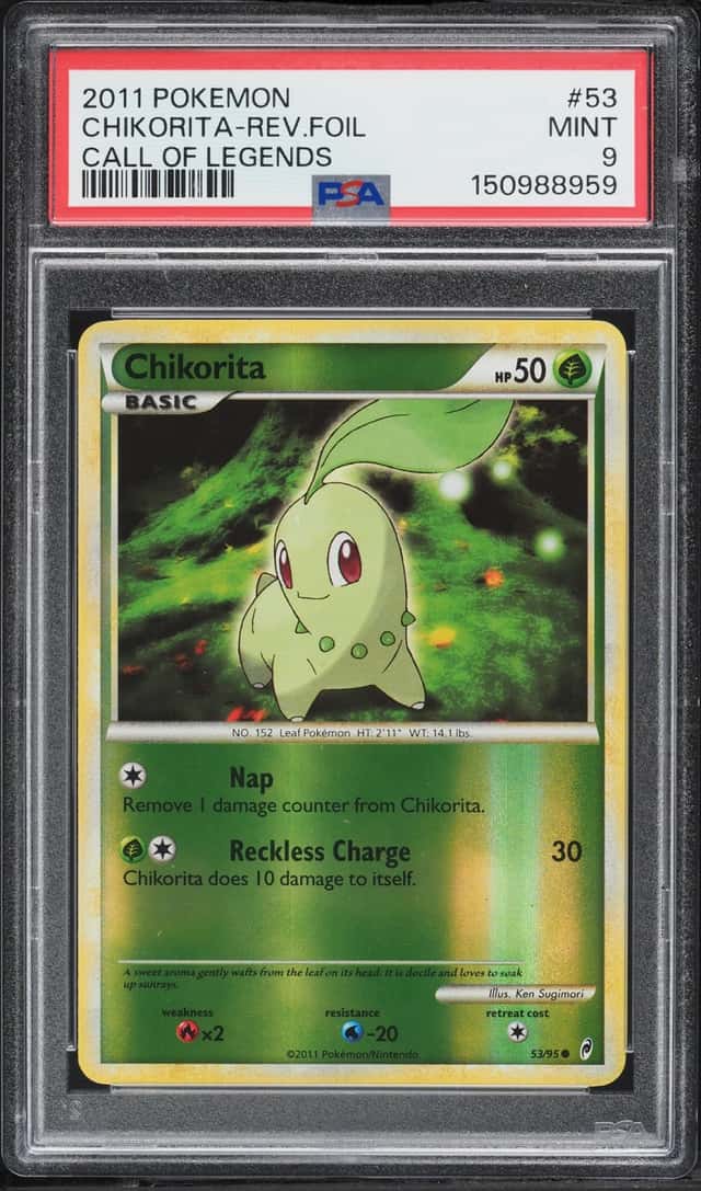 Chikorita