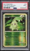 Chikorita