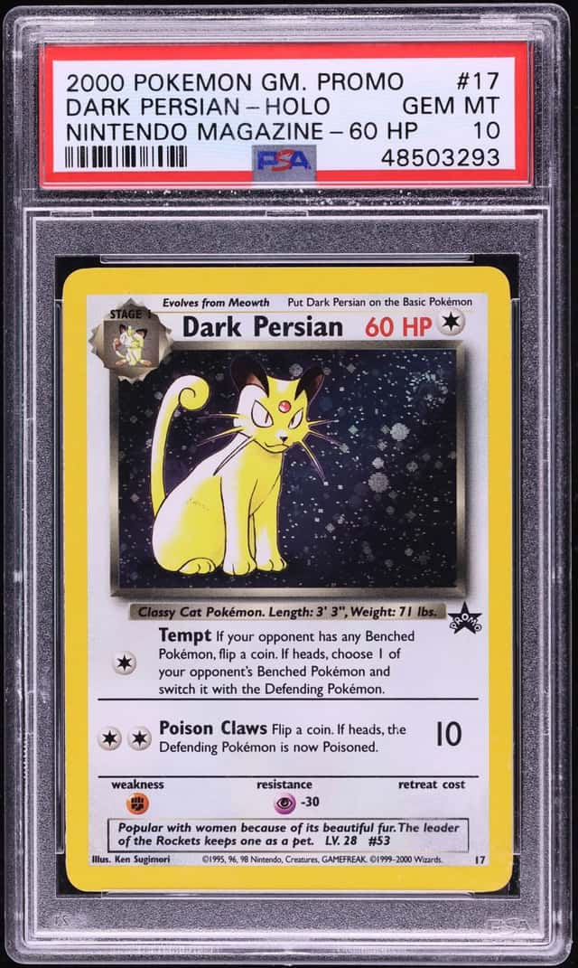 Dark Persian