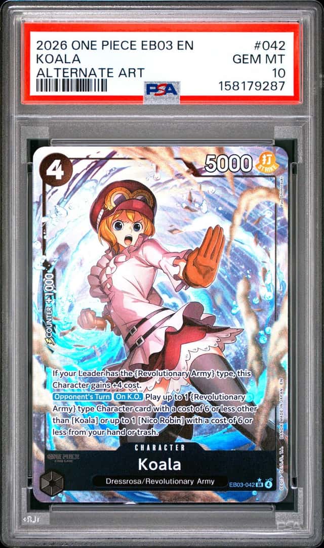 Koala