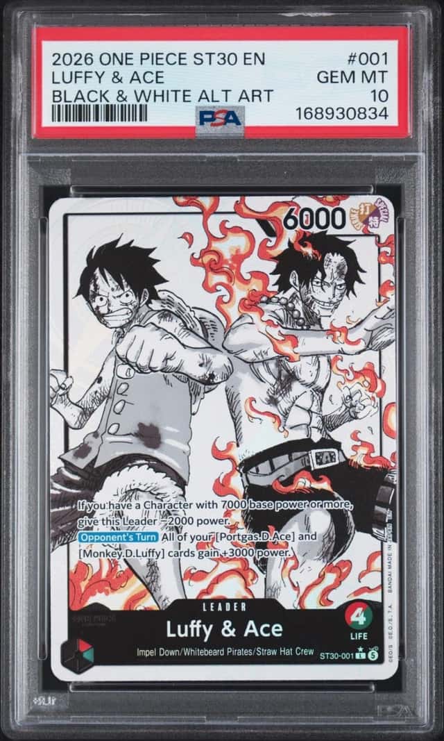 Luffy & Ace
