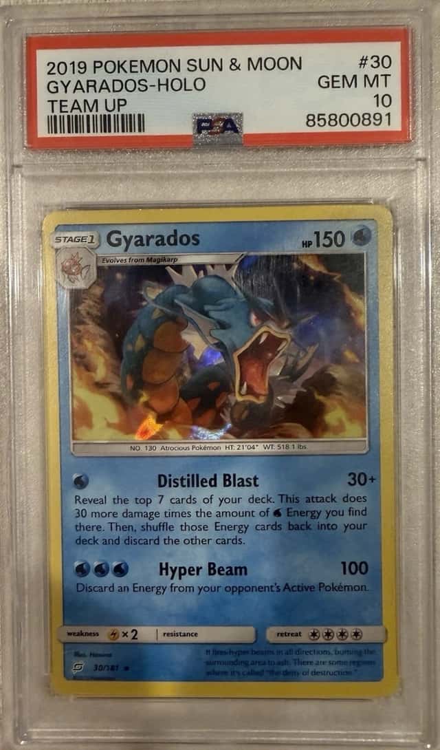Gyarados