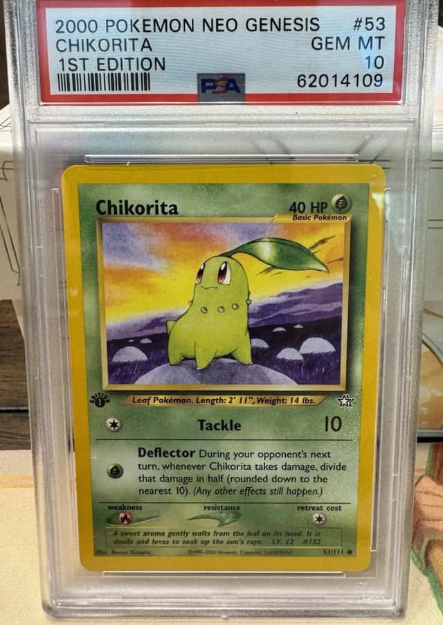 Chikorita