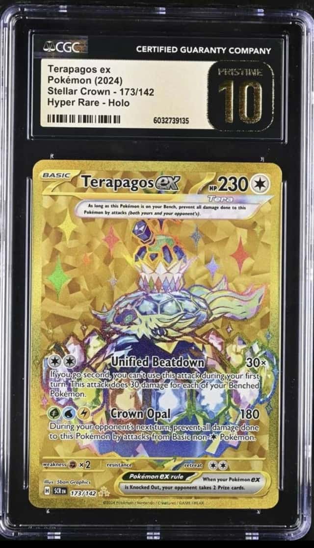 TERAPAGOS ex