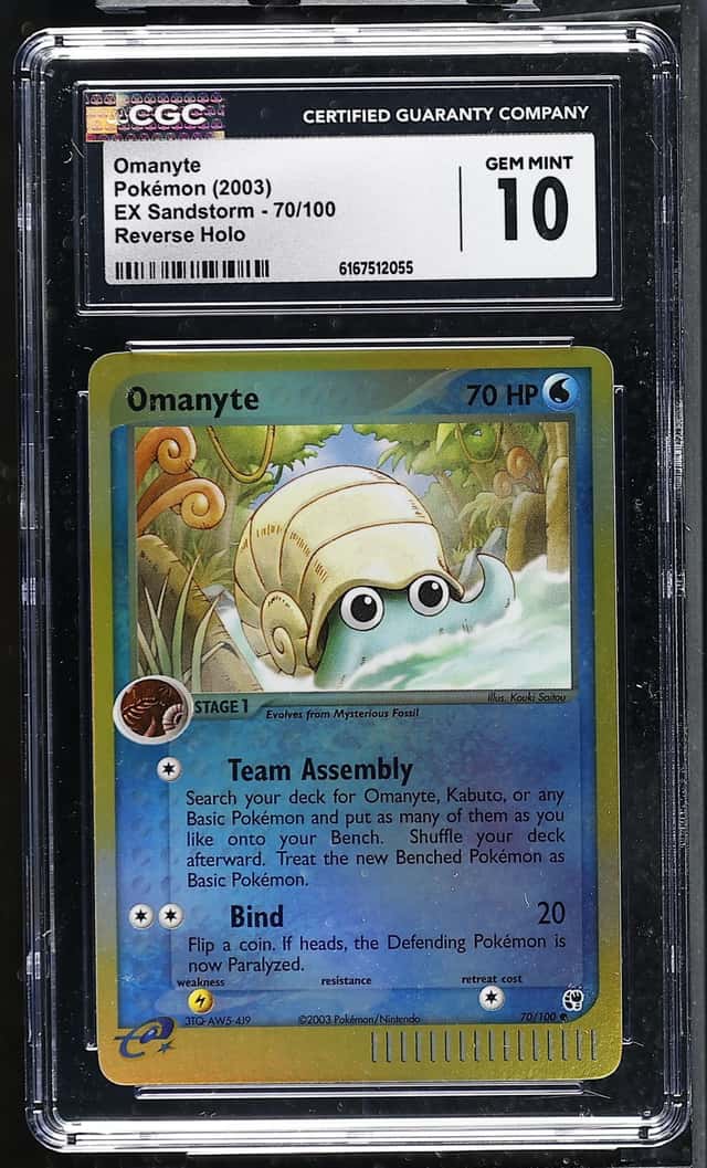 Omanyte