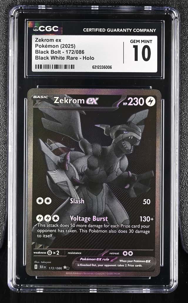 ZEKROM ex