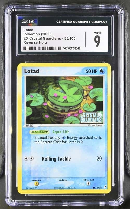 Lotad