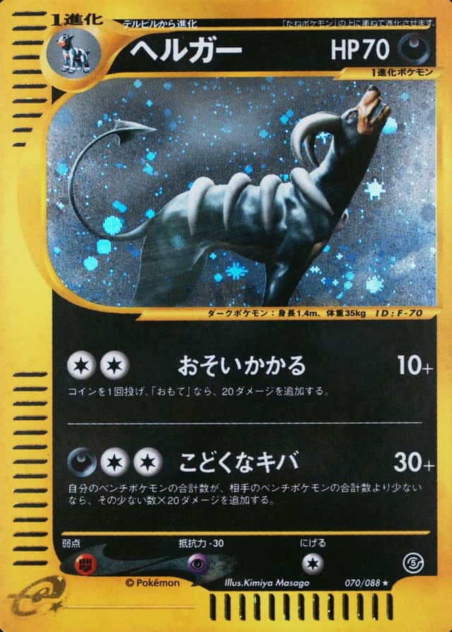 Holo