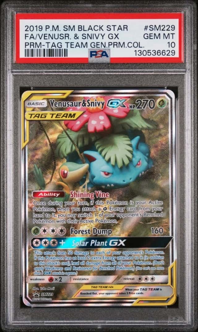 Venusaur & Snivy GX