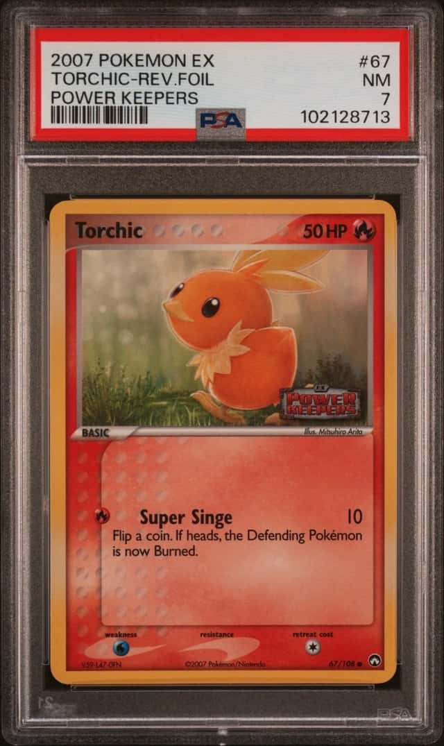 Torchic