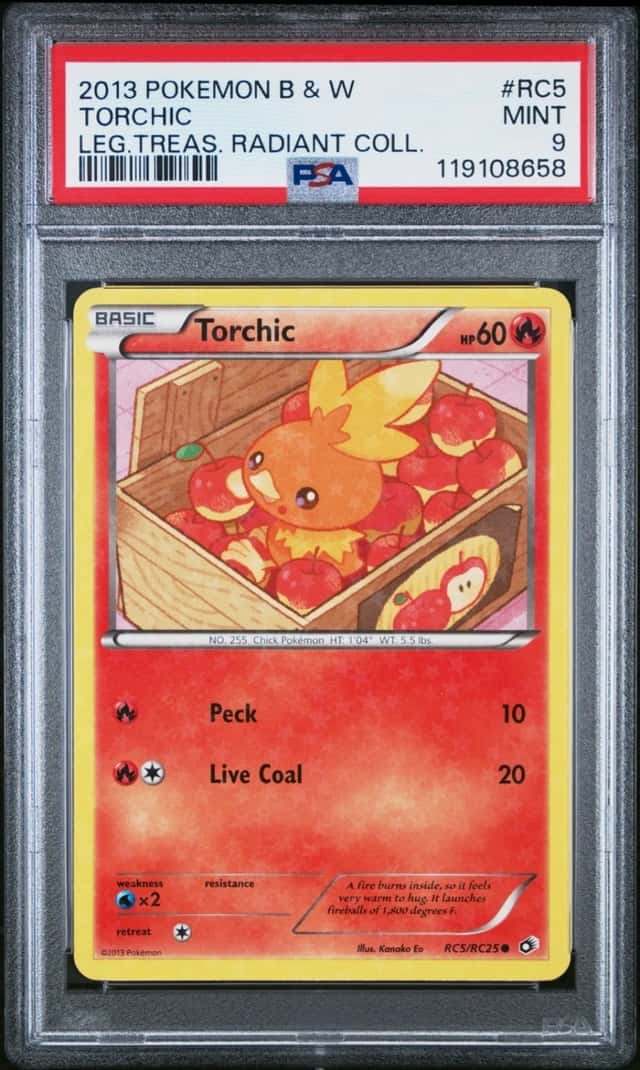 Torchic