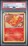 Torchic