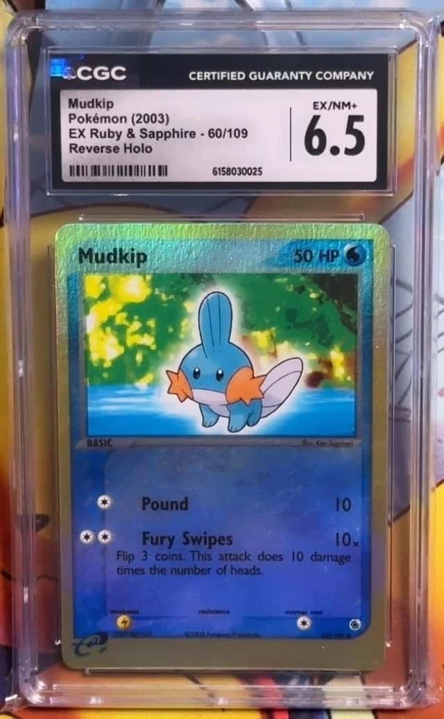 Mudkip